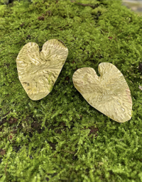 hojas de corazon